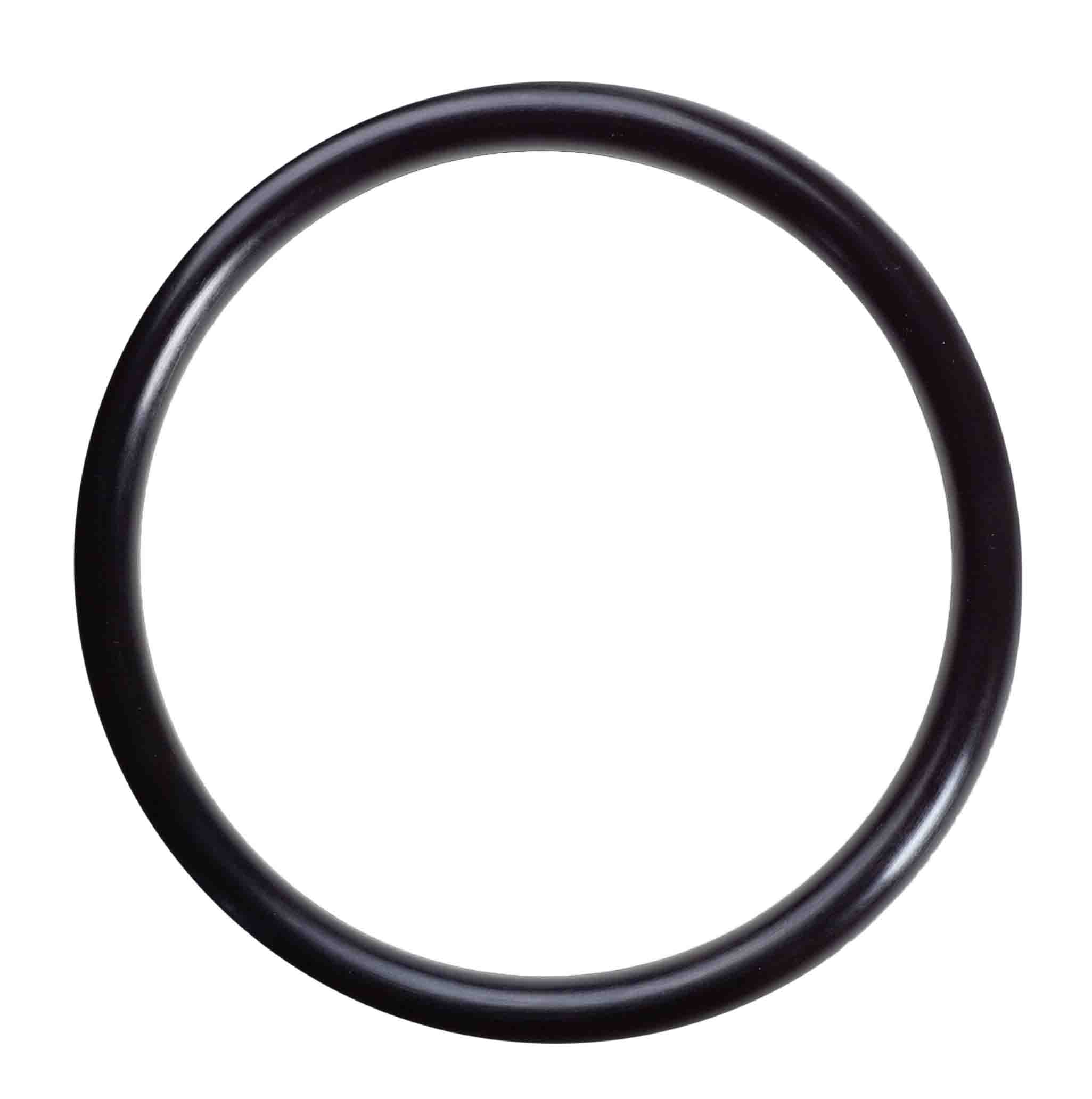 06808 LS Housing O-rings for Nanopure II system